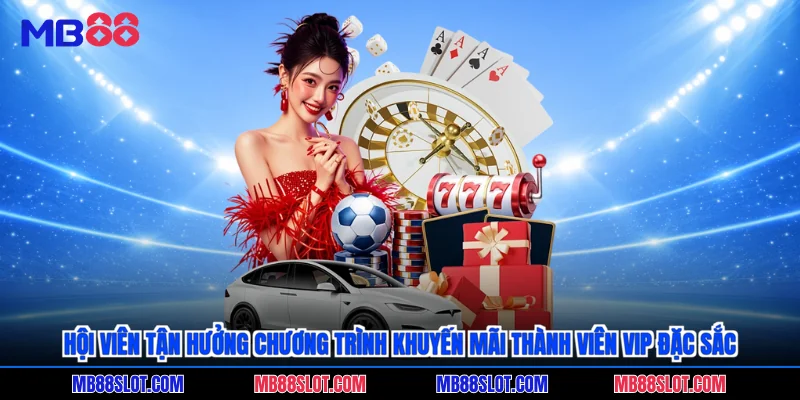 Hội viên tận hưởng chương trình khuyến mãi thành viên vip đặc sắc
