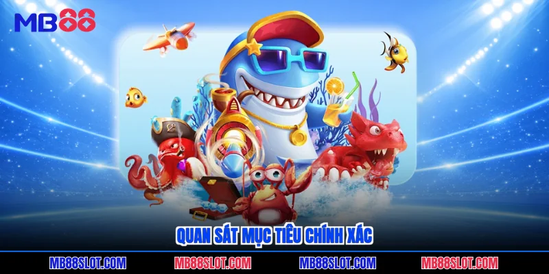 Quan sát mục tiêu chính xác